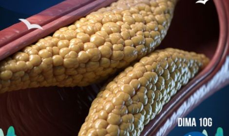Dieta chetogenica e colesterolo: effetti, correlazioni e cosa devi sapere