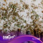 rimedi-naturali-per-la-cistite