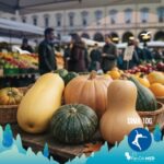 zucca dieta chetogenica: varianti di zucca selezionati per la dieta chetogenica