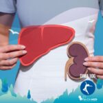 Una rappresentazione visiva su come purificare fegato e reni, che mostra una persona in abito bianco che regge sagome stilizzate dei due organi nella loro corretta posizione anatomica su uno sfondo azzurro.
